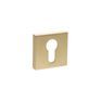 STATUS Euro Escutcheon on S4 Square Rose (Pair) additional 7
