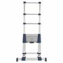 Xtend+Climb 3.2m ProSeries S2.0 Telescopic Ladder additional 3
