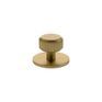 Millhouse Brass Battersea Linear Round Cabinet Knob Handle on Backplate additional 4