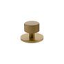Millhouse Brass Paddington Spiral Round Cabinet Knob Handle on Backplate additional 4