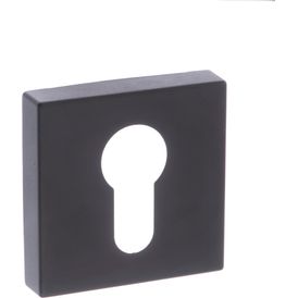 Forme Square Euro Escutcheon (Pair) alternative