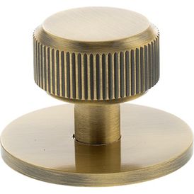 Millhouse Brass Battersea Linear Round Cabinet Knob Handle on Backplate