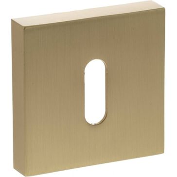 STATUS Key Escutcheon on S4 Square Rose (Pair)