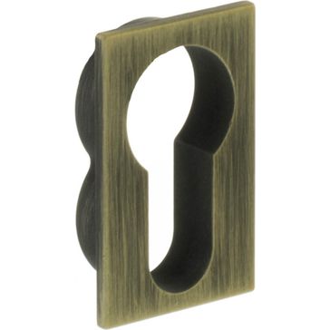 Forme Concealed Rose Euro Escutcheon Square