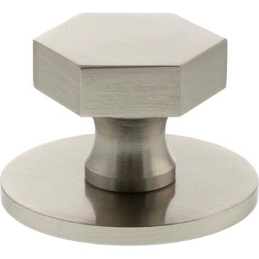 Millhouse Brass Pennington Hexagonal Cabinet Knob Handle on Backplate