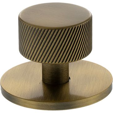Millhouse Brass Paddington Spiral Round Cabinet Knob Handle on Backplate