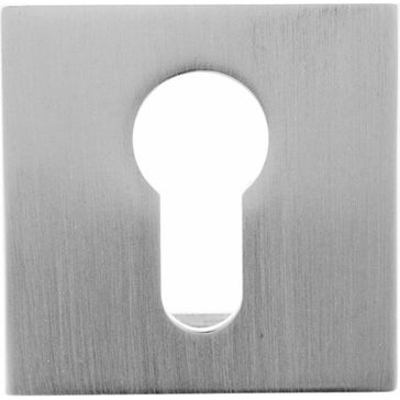 Oro &amp; Oro Euro Escutcheons on Square Rose alternative