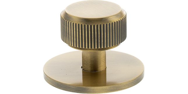 Millhouse Brass Battersea Linear Round Cabinet Knob Handle on Backplate